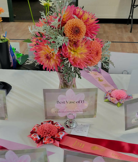 Bloomquist Dawn Dahlia Tuber